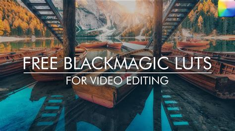 Unlock New Creative Possibilities with Free Black Magic LUTs